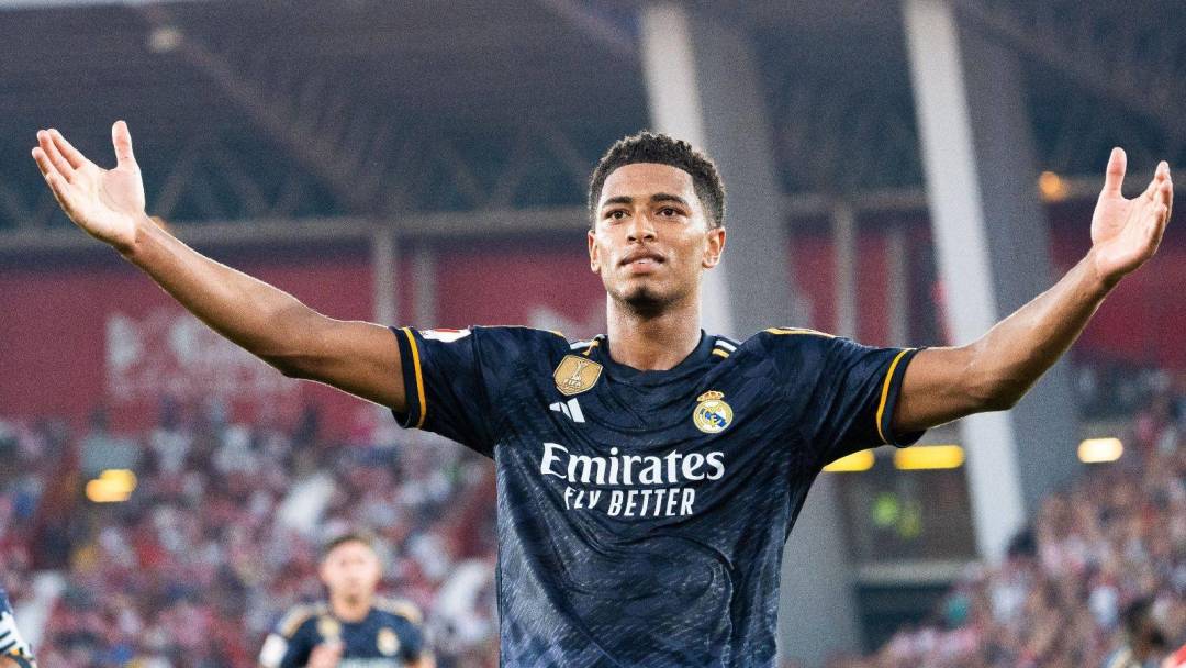 来源分布广 来源分布广