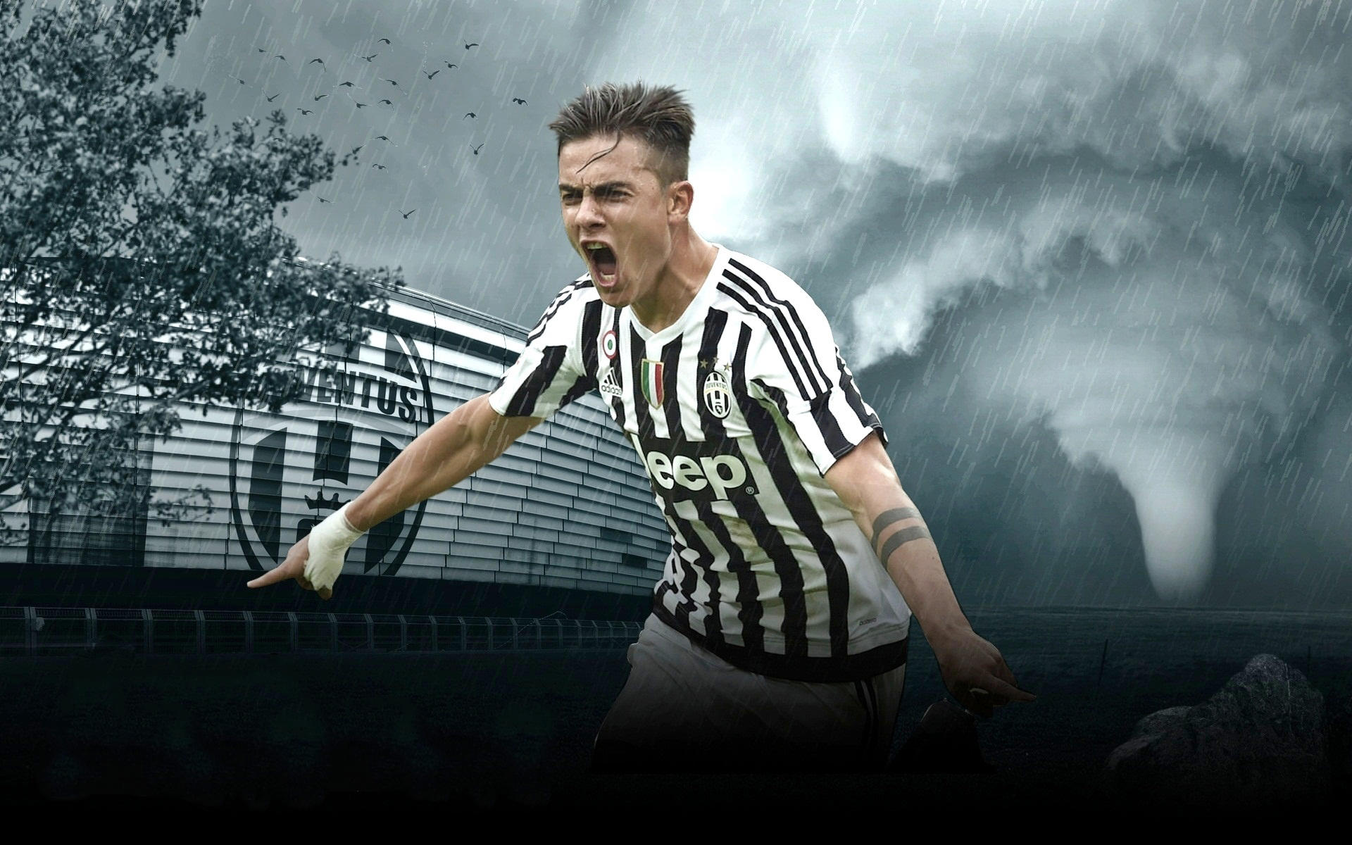 为由掩盖违 为由掩盖违